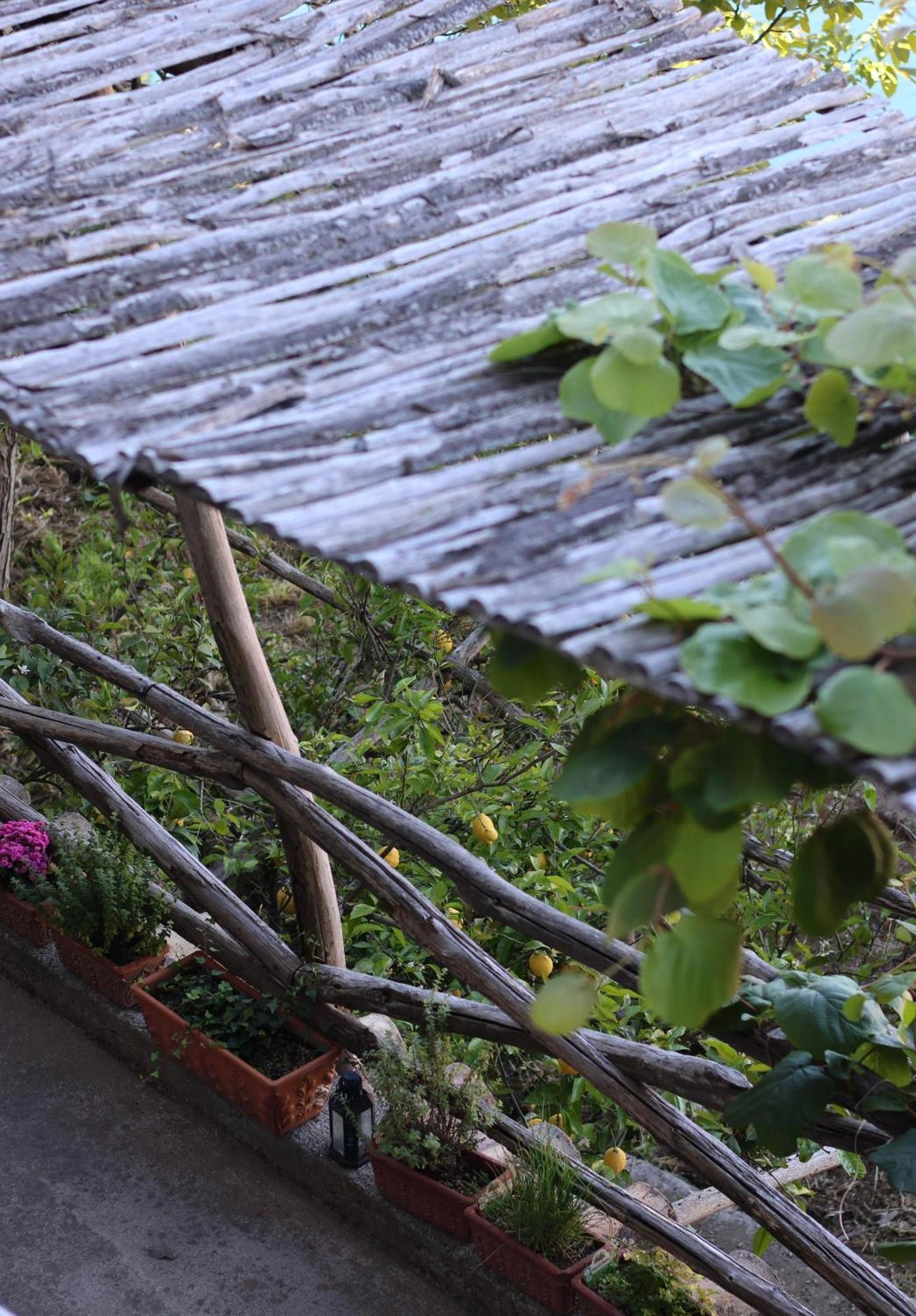 Bed and Breakfast Colle dell'Ara Positano Esterno foto